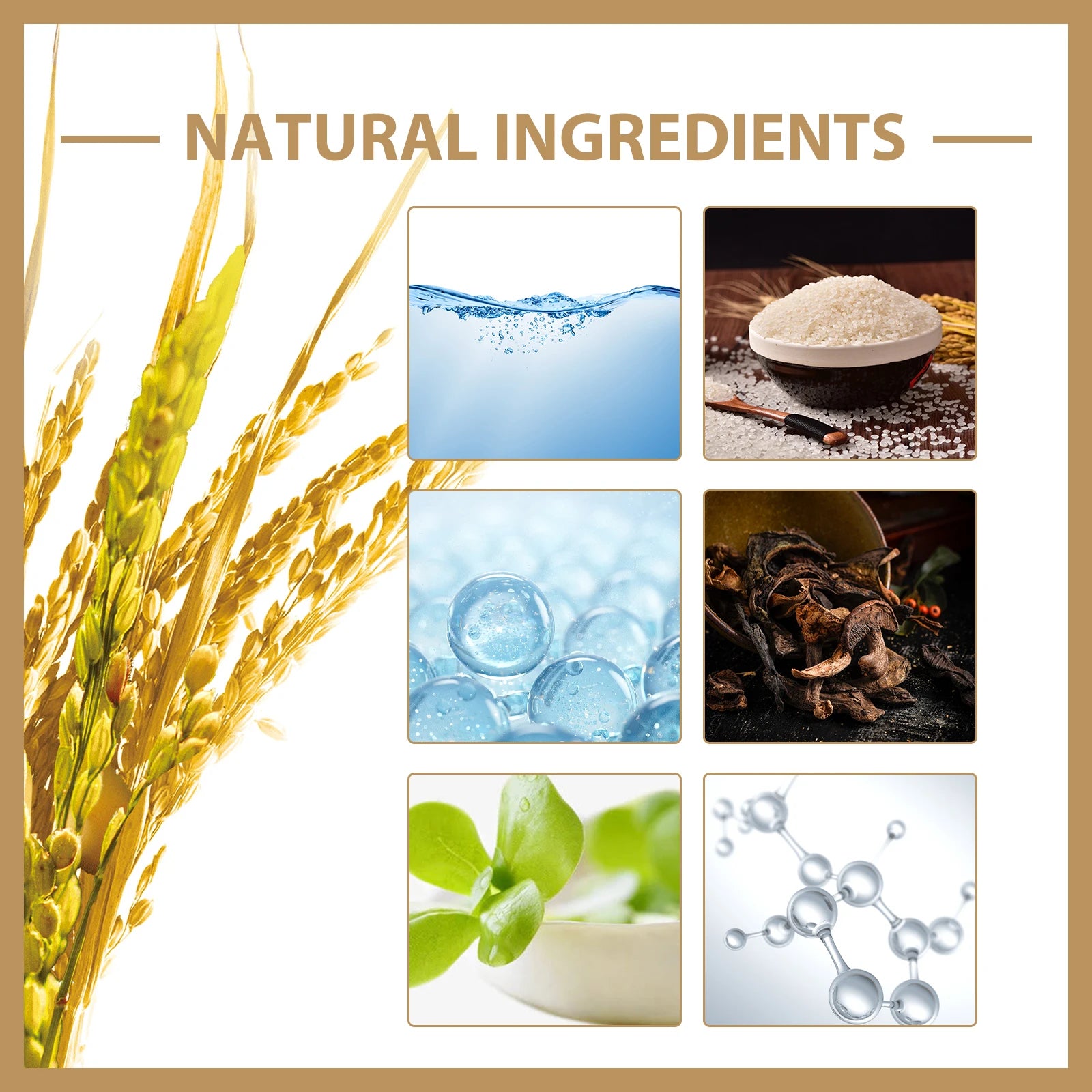 I'M From Rice Toner- Lock in Luminosity